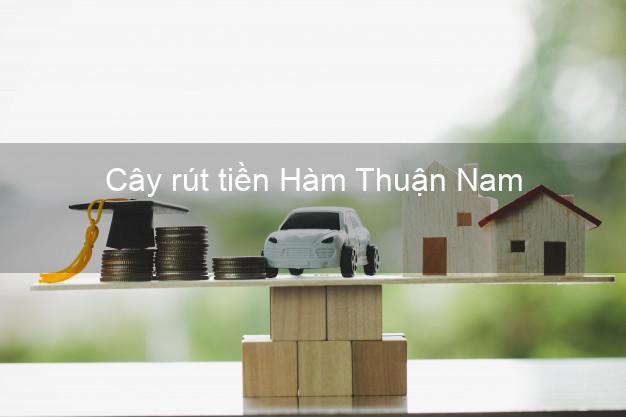 Cây rút tiền Hàm Thuận Nam Bình Thuận