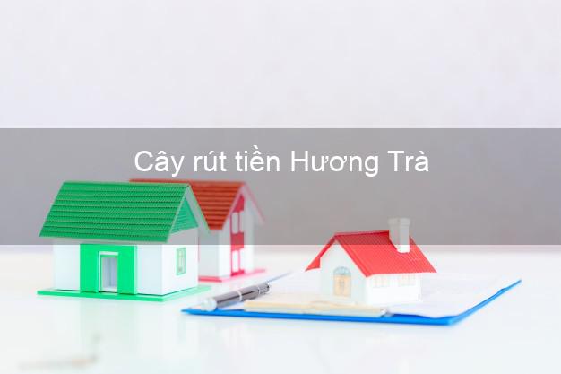 Cây rút tiền Hương Trà Thừa Thiên Huế
