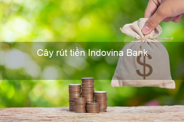Cây rút tiền Indovina Bank Mới nhất