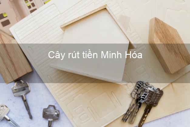 Cây rút tiền Minh Hóa Quảng Bình