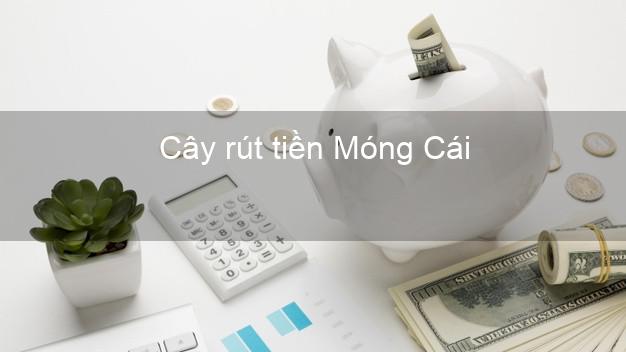 Cây rút tiền Móng Cái Quảng Ninh