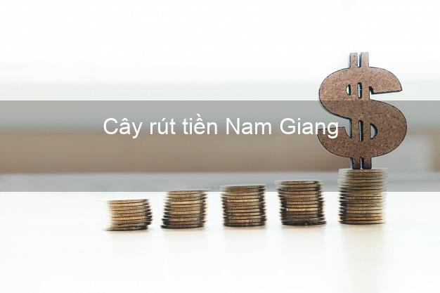 Cây rút tiền Nam Giang Quảng Nam