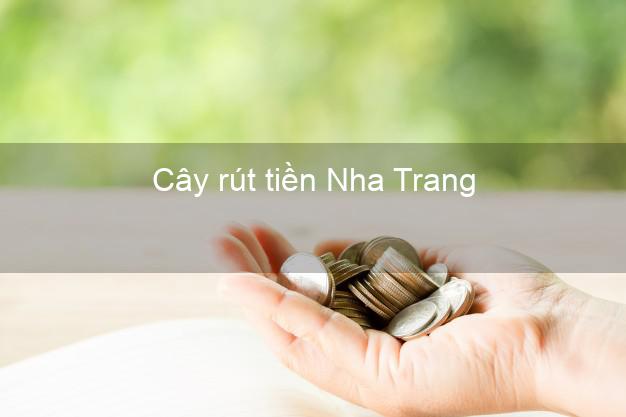 Cây rút tiền Nha Trang Khánh Hòa