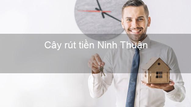 Cây rút tiền Ninh Thuận