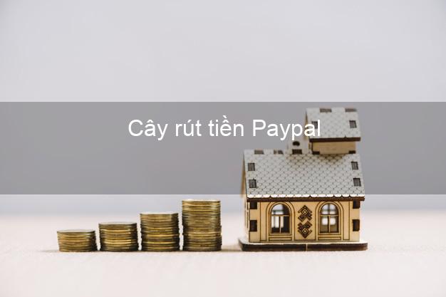 Cây rút tiền Paypal Online