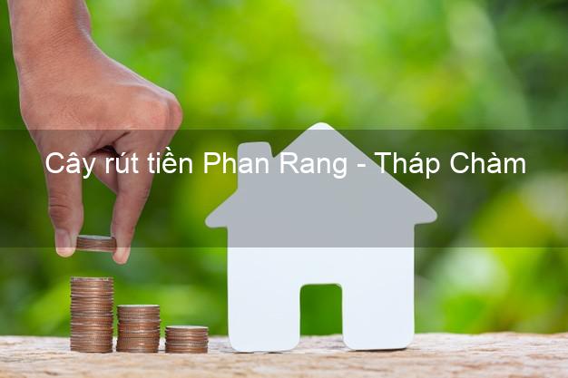 Cây rút tiền Phan Rang - Tháp Chàm Ninh Thuận