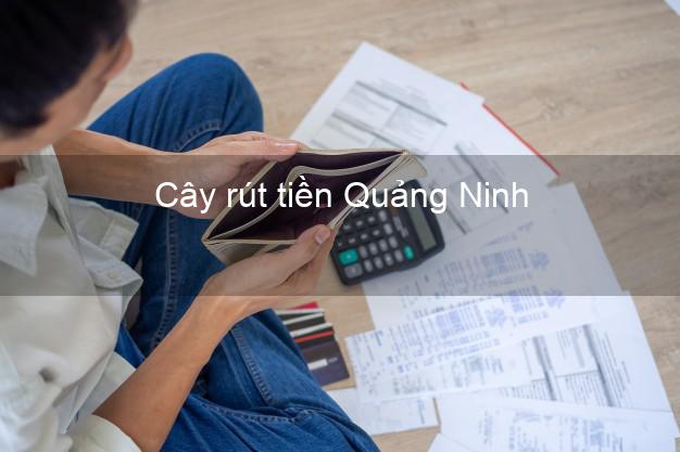 Cây rút tiền Quảng Ninh Quảng Bình