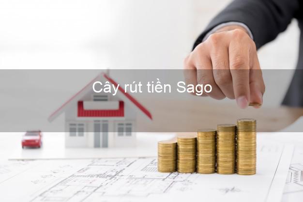 Cây rút tiền Sago Online