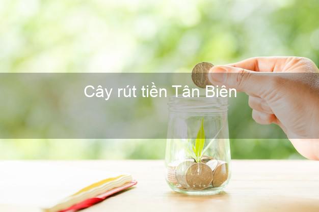 Cây rút tiền Tân Biên Tây Ninh