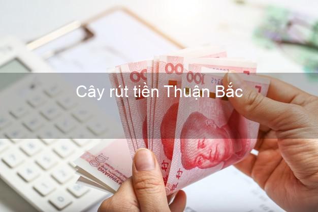 Cây rút tiền Thuận Bắc Ninh Thuận