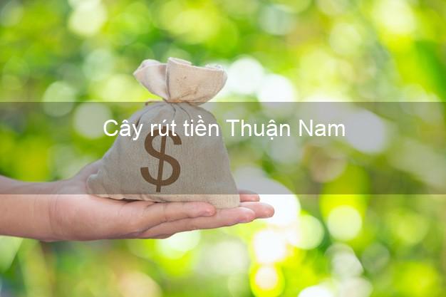 Cây rút tiền Thuận Nam Ninh Thuận