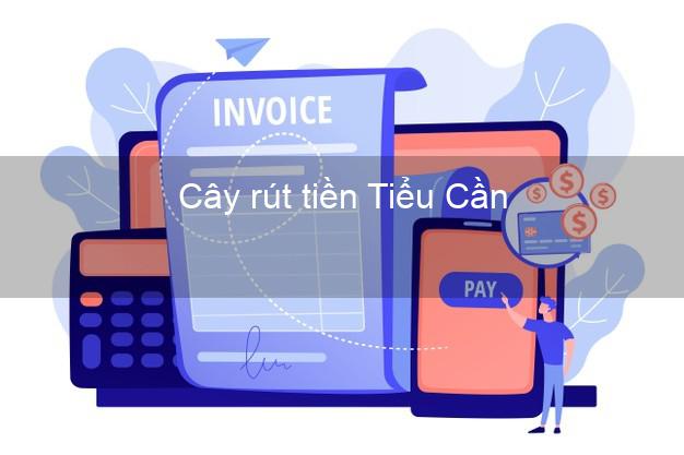 Cây rút tiền Tiểu Cần Trà Vinh