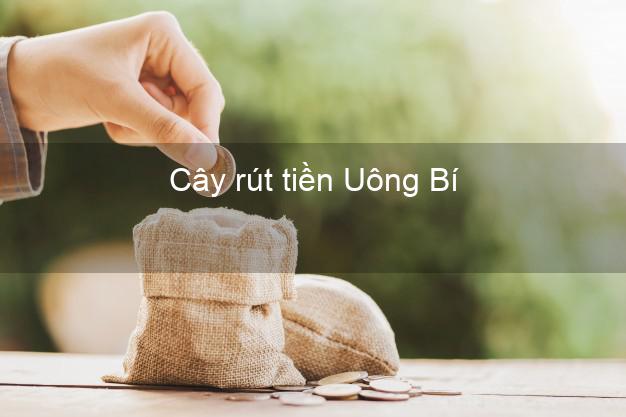 Cây rút tiền Uông Bí Quảng Ninh