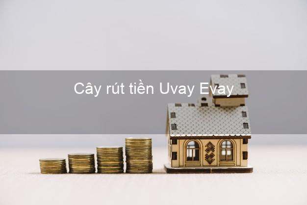 Cây rút tiền Uvay Evay Online