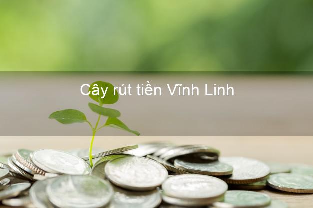 Cây rút tiền Vĩnh Linh Quảng Trị